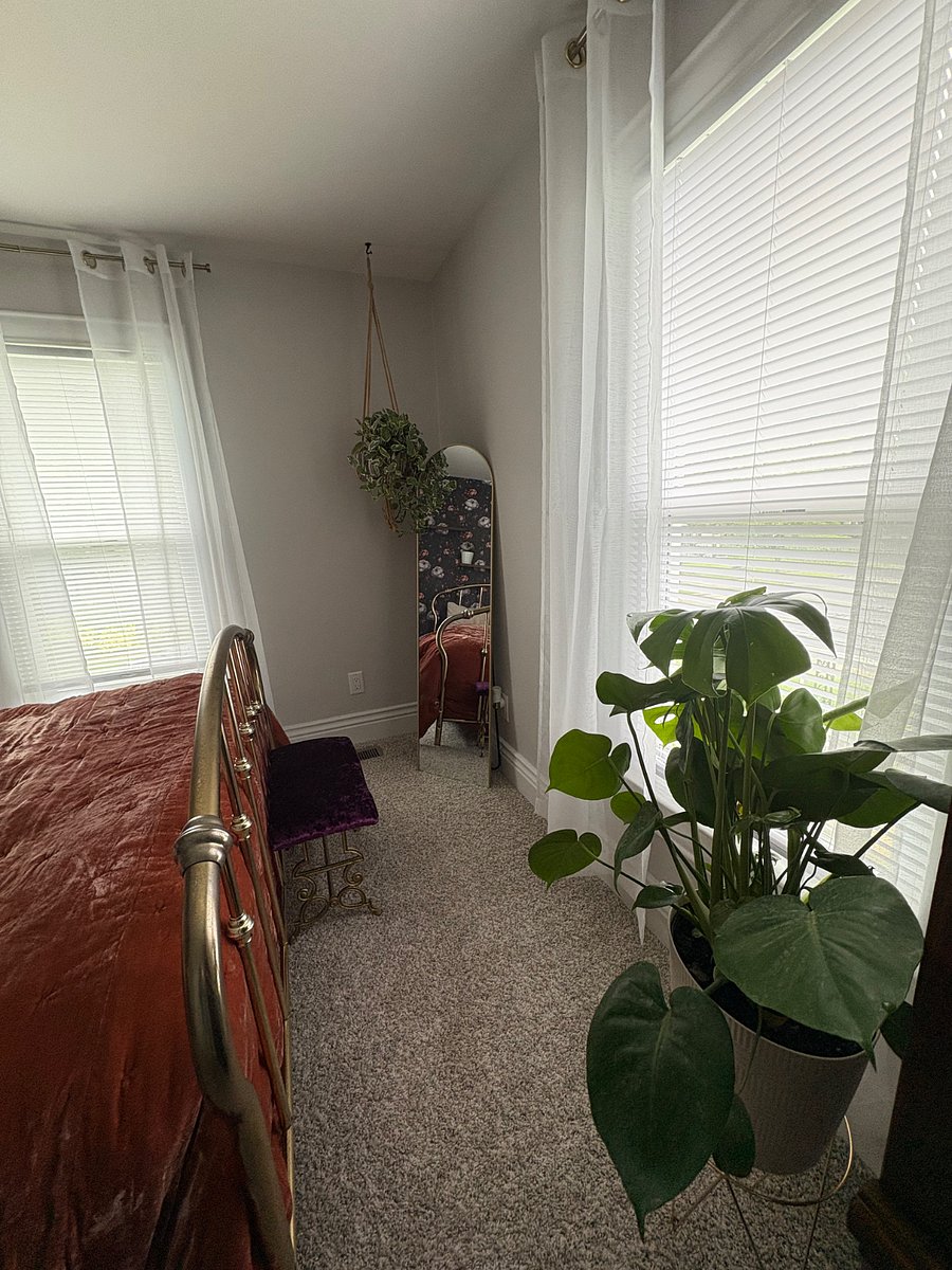 Furnished Finder property 849485_2 photo 6