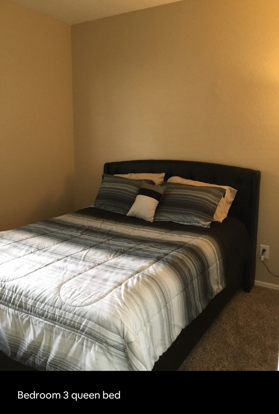 Furnished Finder property 849530_1 photo 16