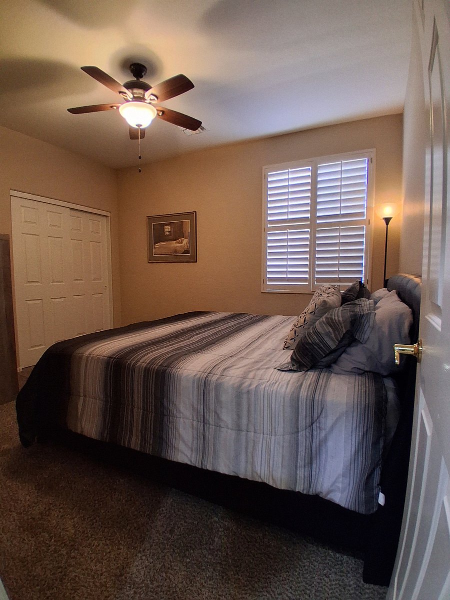 Furnished Finder property 849530_1 photo 13