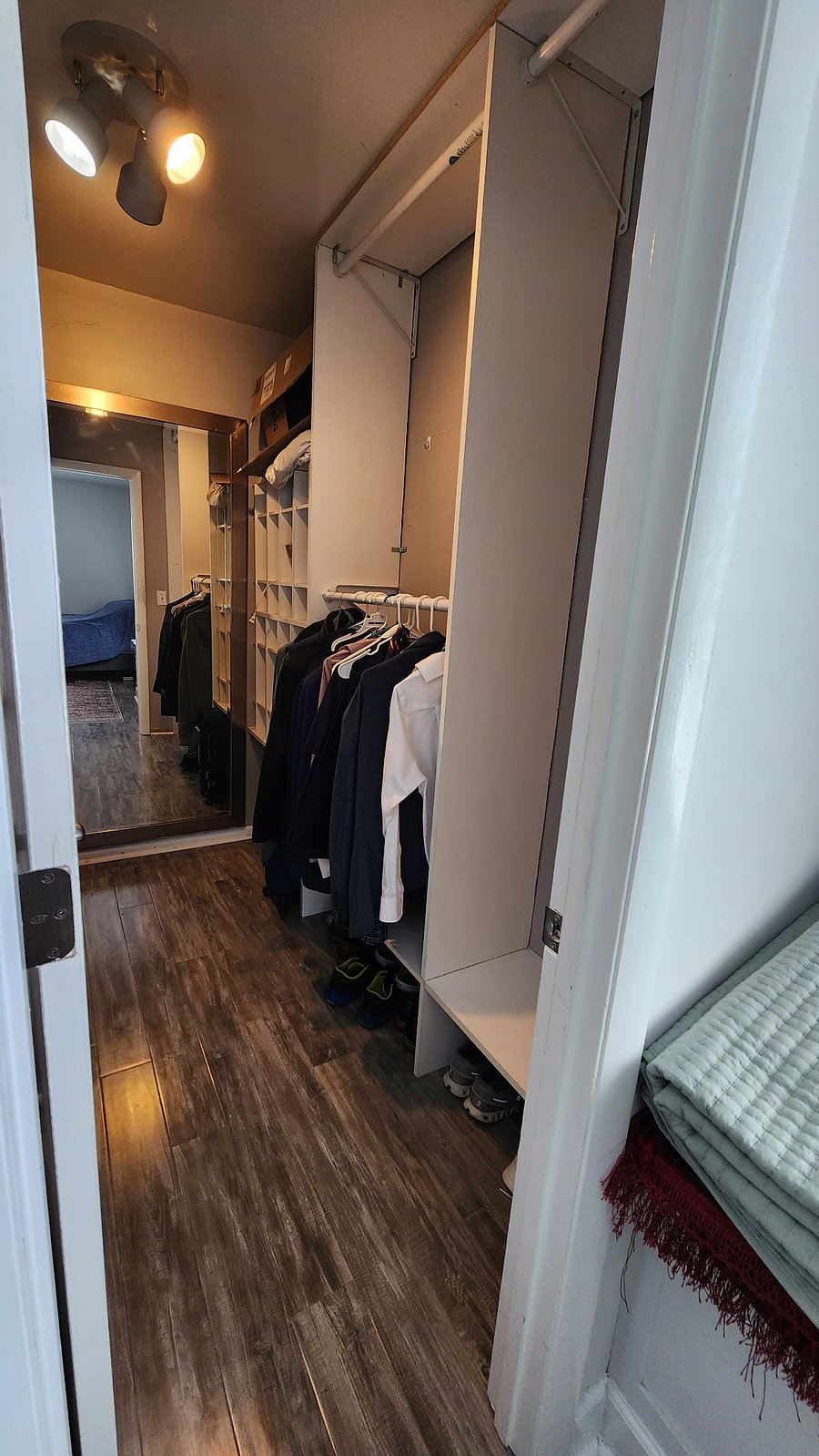 Walk-in closet with lighting and shelving