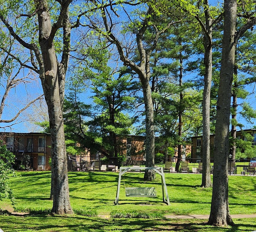 Serene image of greenspace