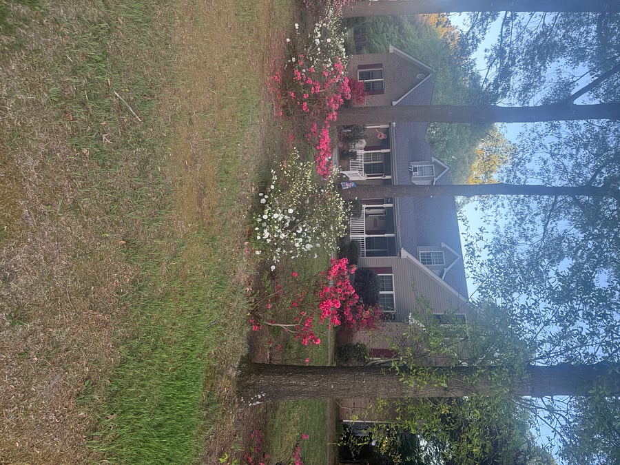 Furnished Finder property 849569_1 photo 2