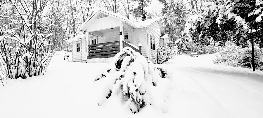 Furnished Finder property 849623_1 photo 19