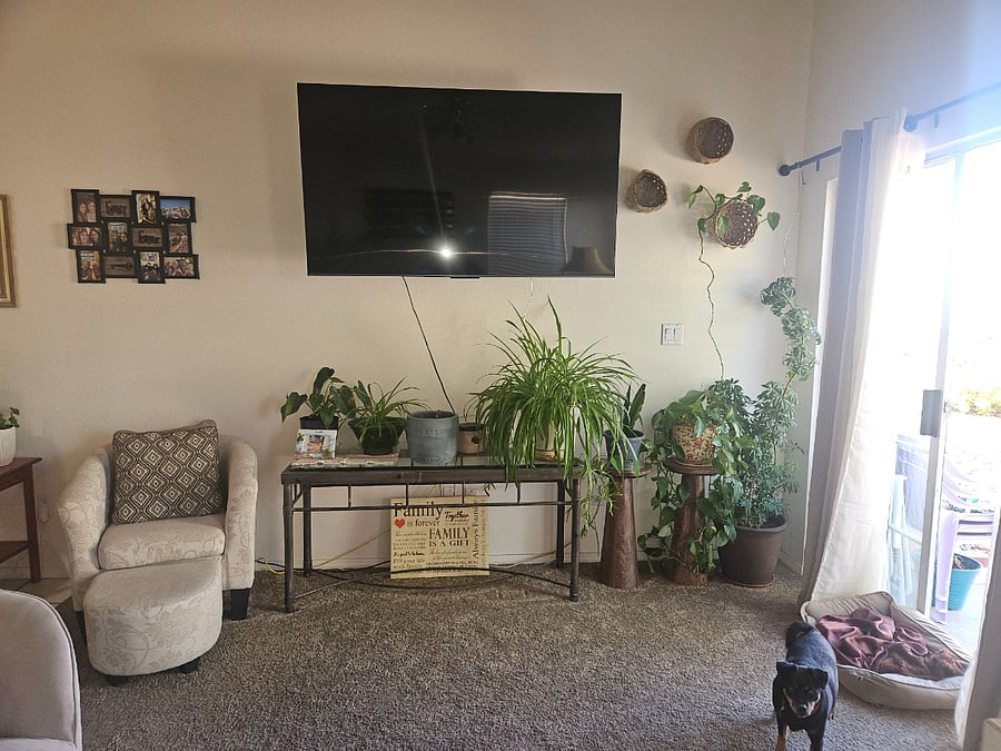 Furnished Finder property 849677_1 photo 8