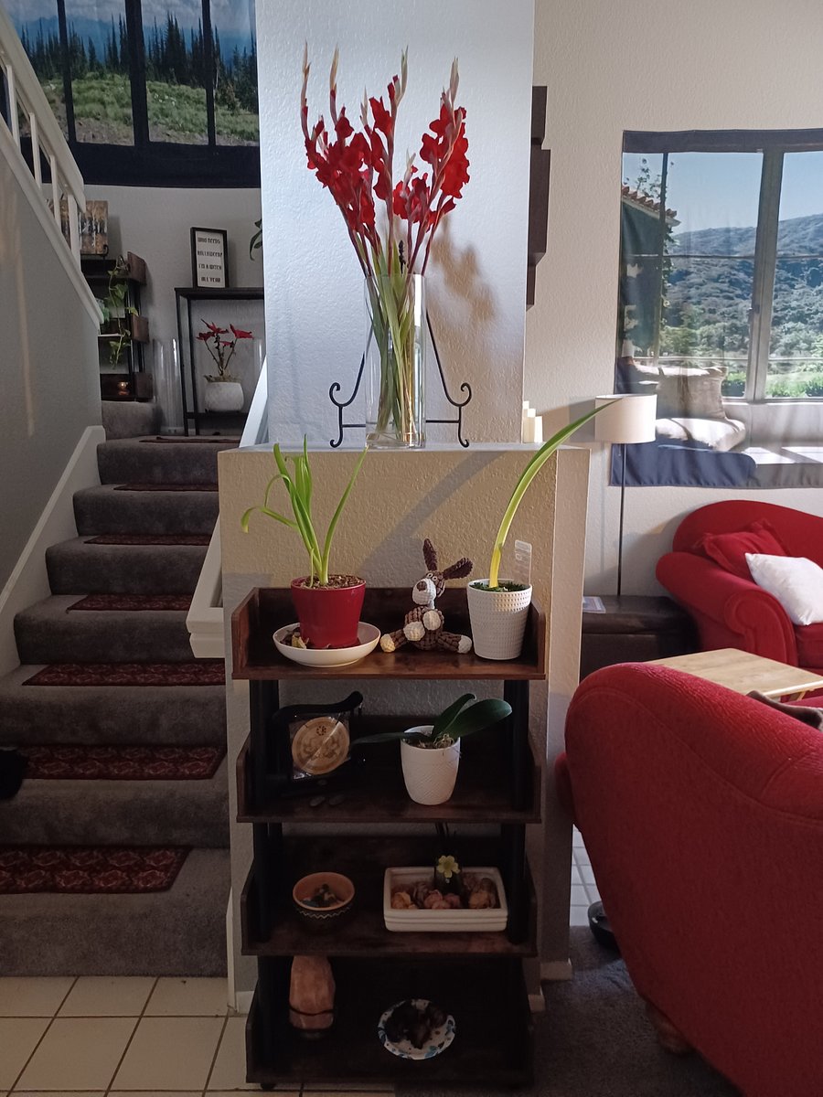 Furnished Finder property 849798_1 photo 4