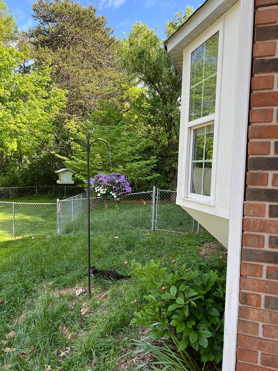 Side yard showing the bay window where you can see flower and bird watch.