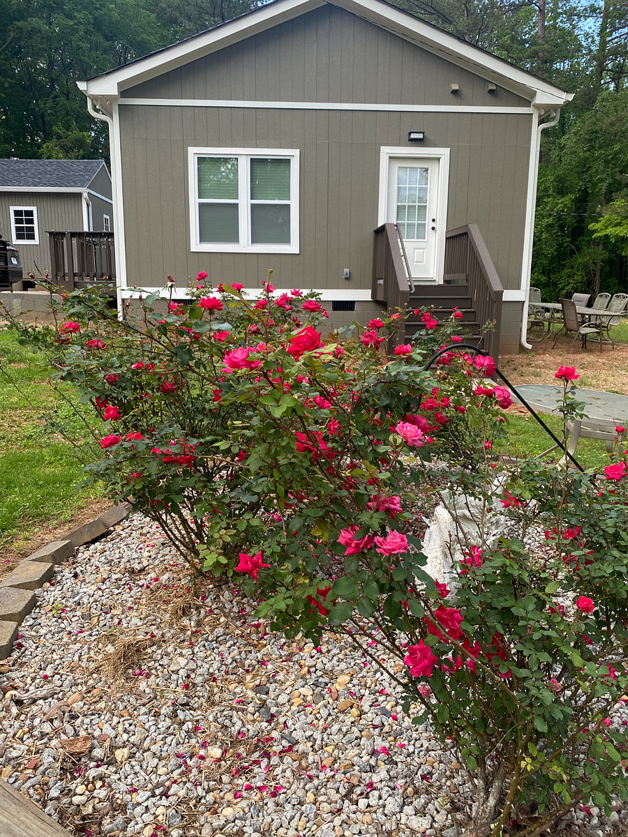 Furnished Finder property 849975_1 photo 4
