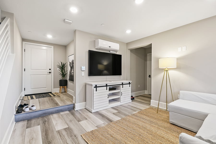 Downstairs bonus room