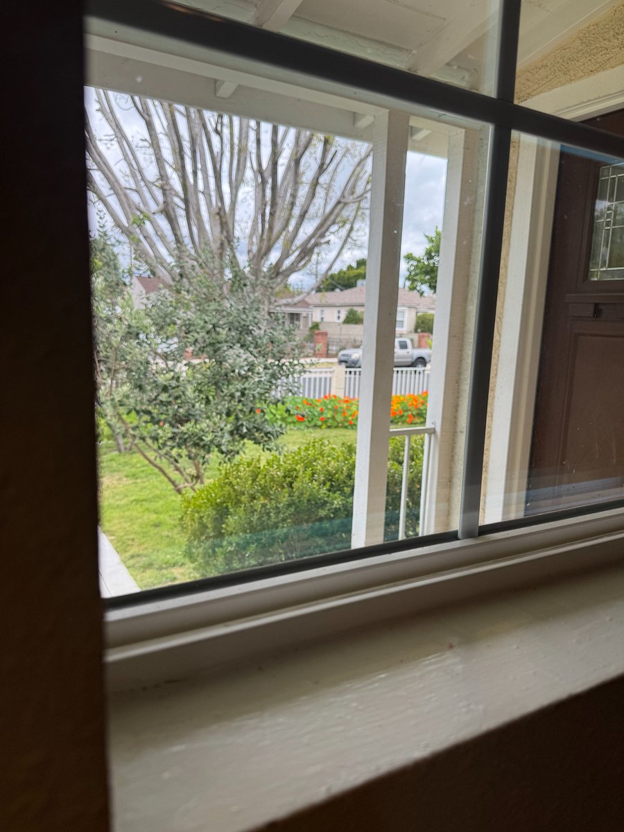 View from kitchen window
