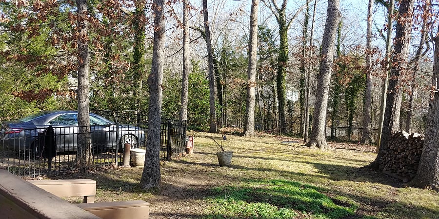 Furnished Finder property 850130_1 photo 23