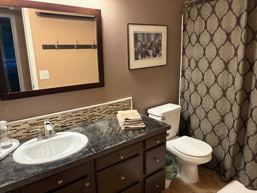 Downstairs bathroom