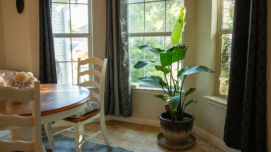 Furnished Finder property 850168_1 photo 15