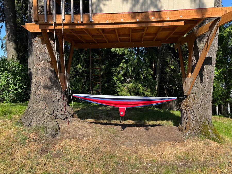 Eye hooks on tree are ready for your hammock.