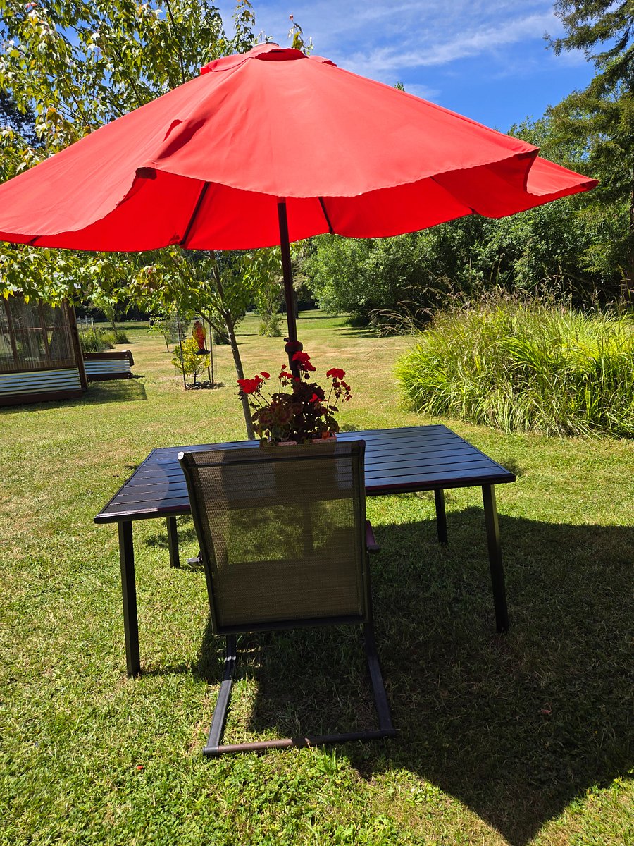 Furnished Finder property 850295_1 photo 11