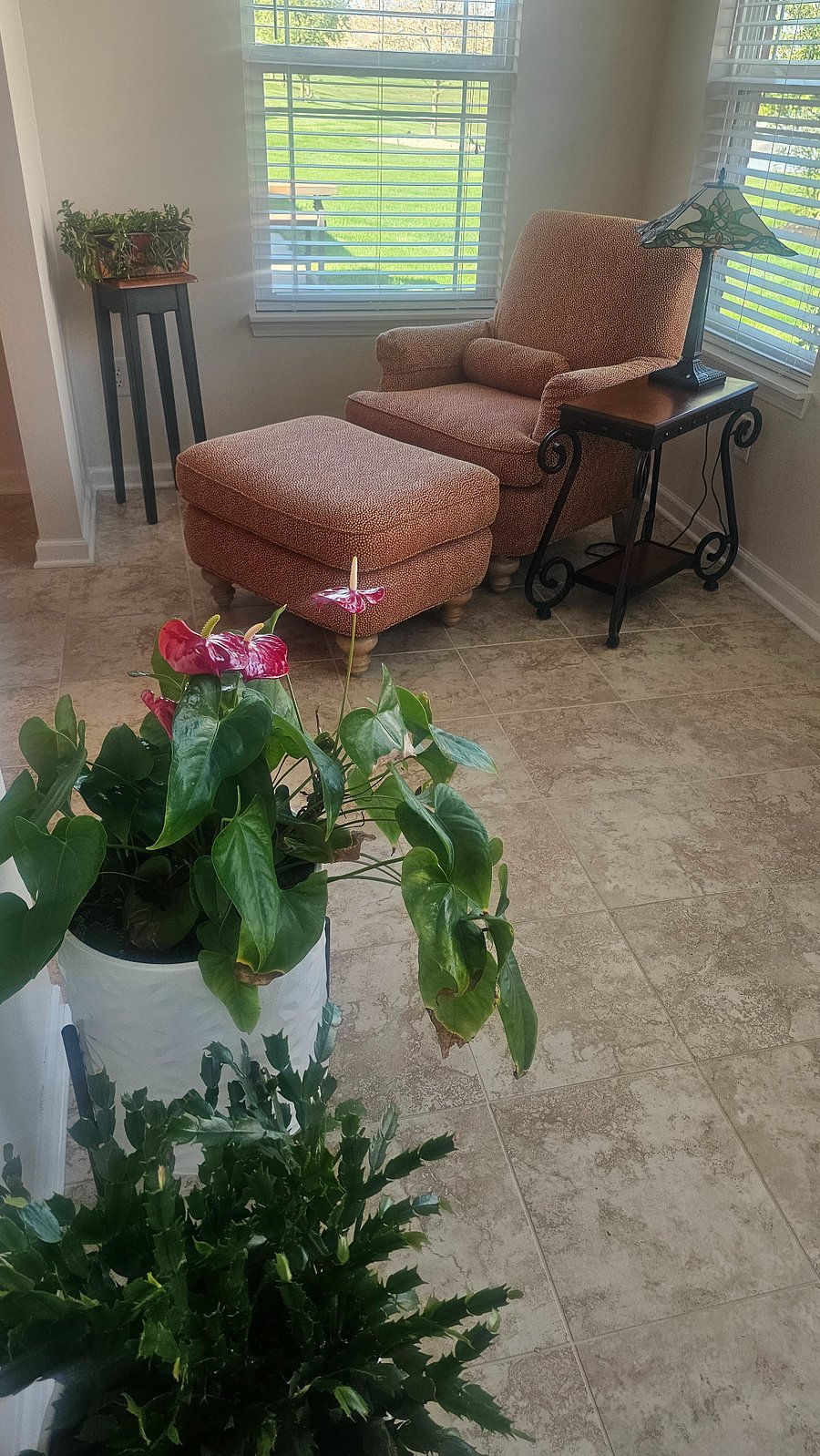 Furnished Finder property 850405_1 photo 10