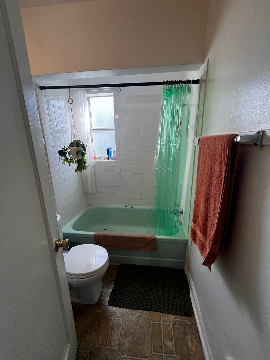 Redone vintage bathtub and shower