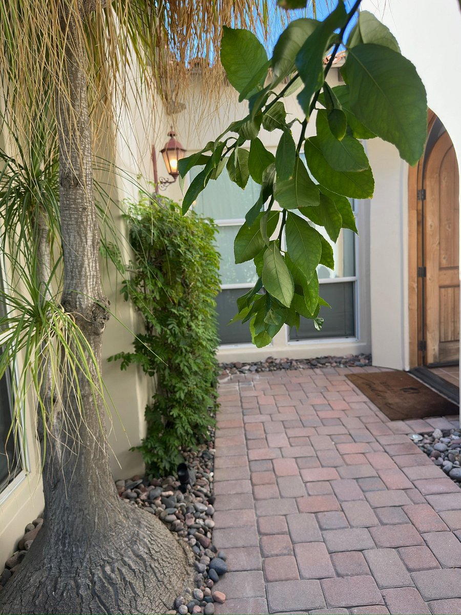 Front entryway courtyard