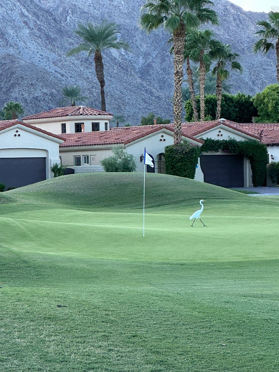 Golf course view behind house
