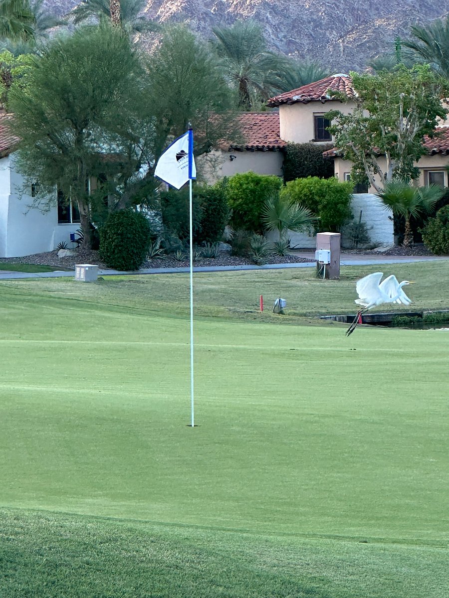 Golf course view behind house