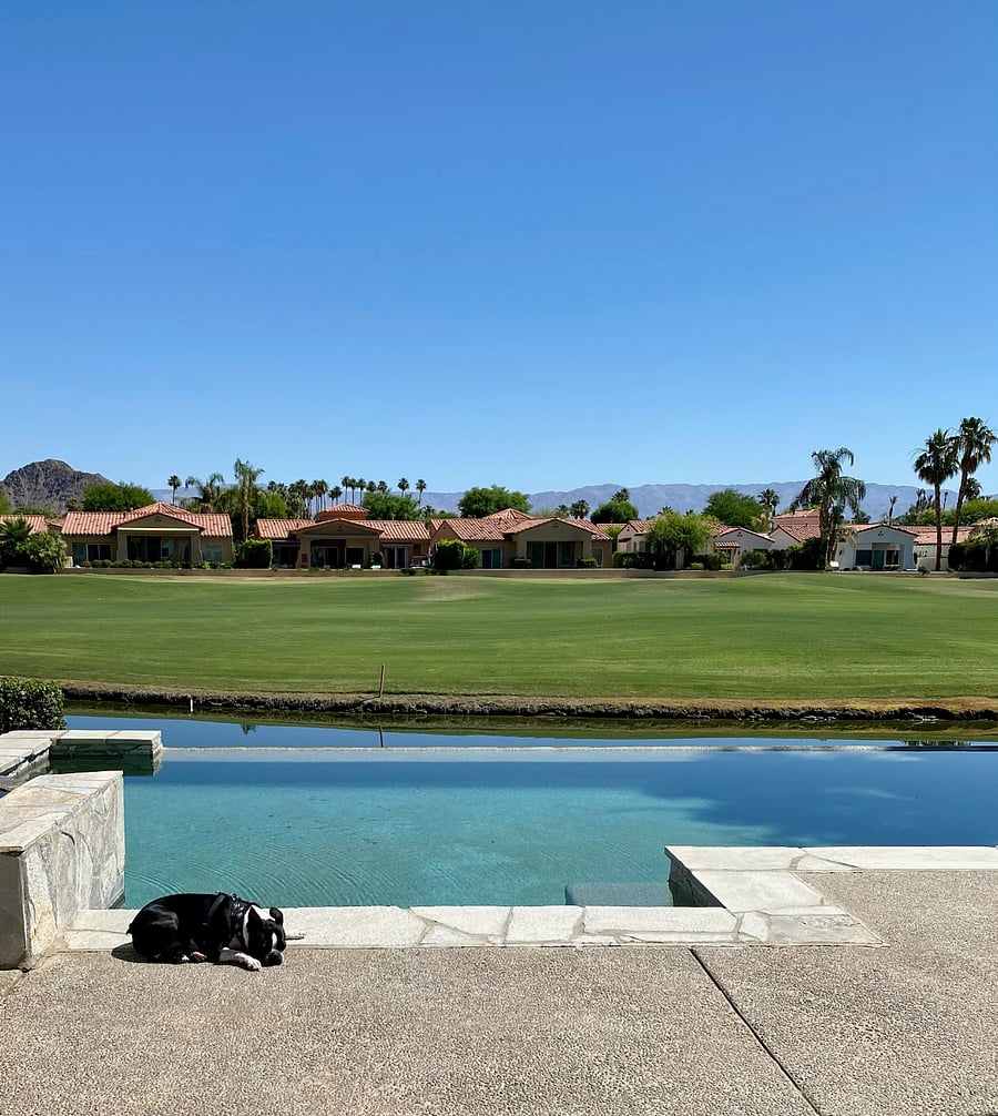 View from backyard