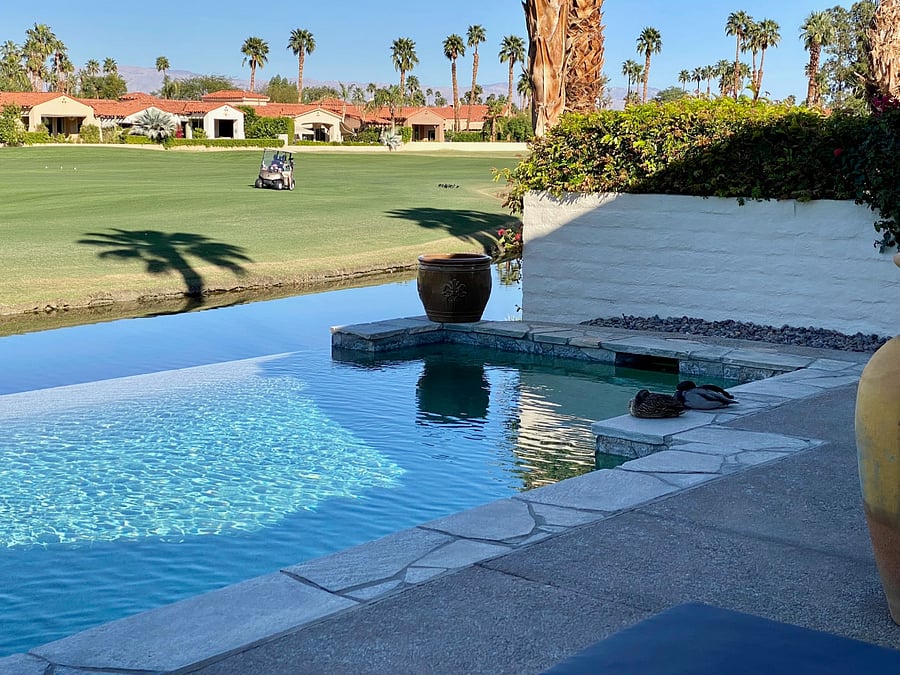 Outdoor heated pool (for extra charge)