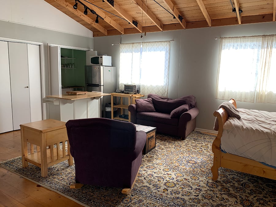 Living area. Couch is a single convertible bed.