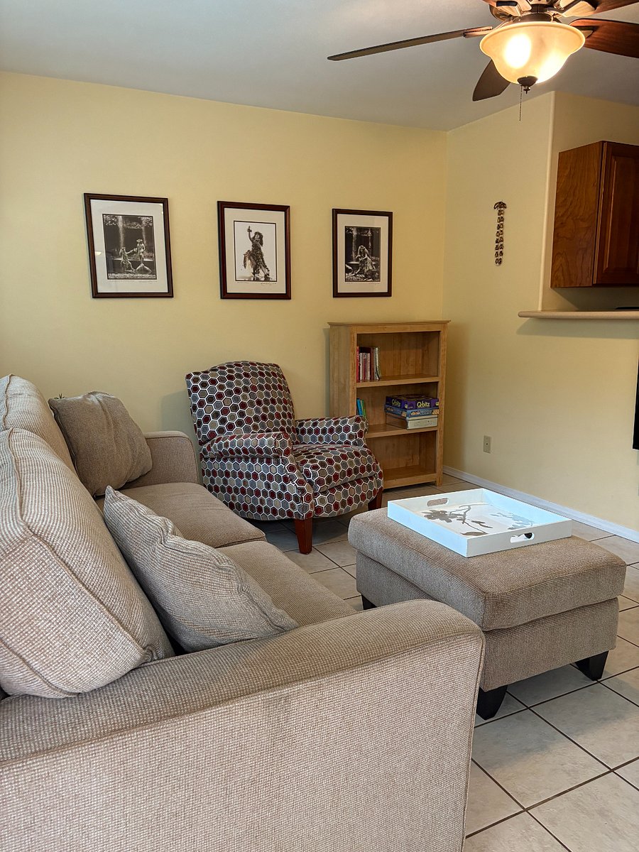 Living room with pull out couch and arm chair