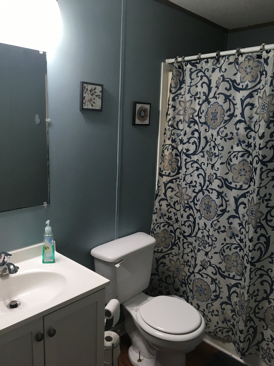 Hall Bathroom with bathtub & shower.