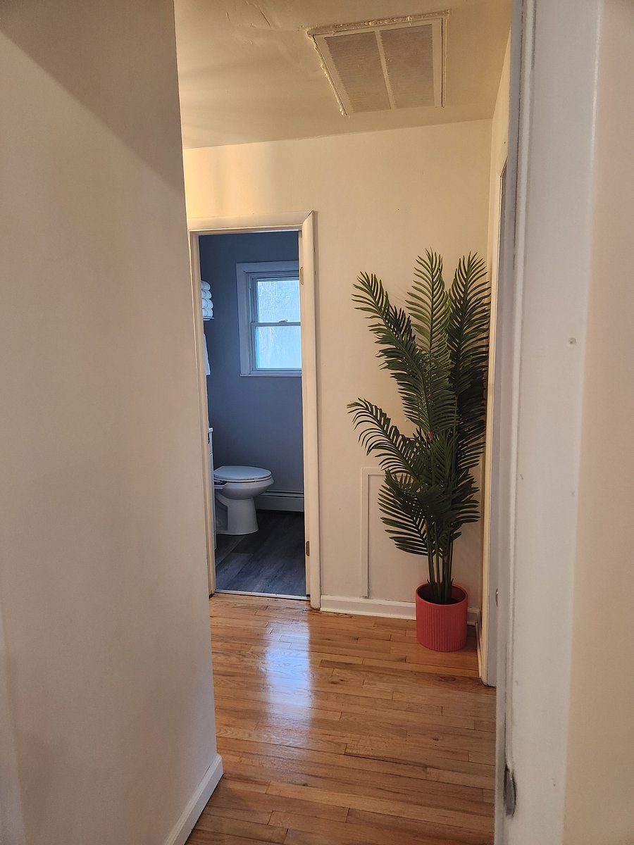 Furnished Finder property 851303_1 photo 16