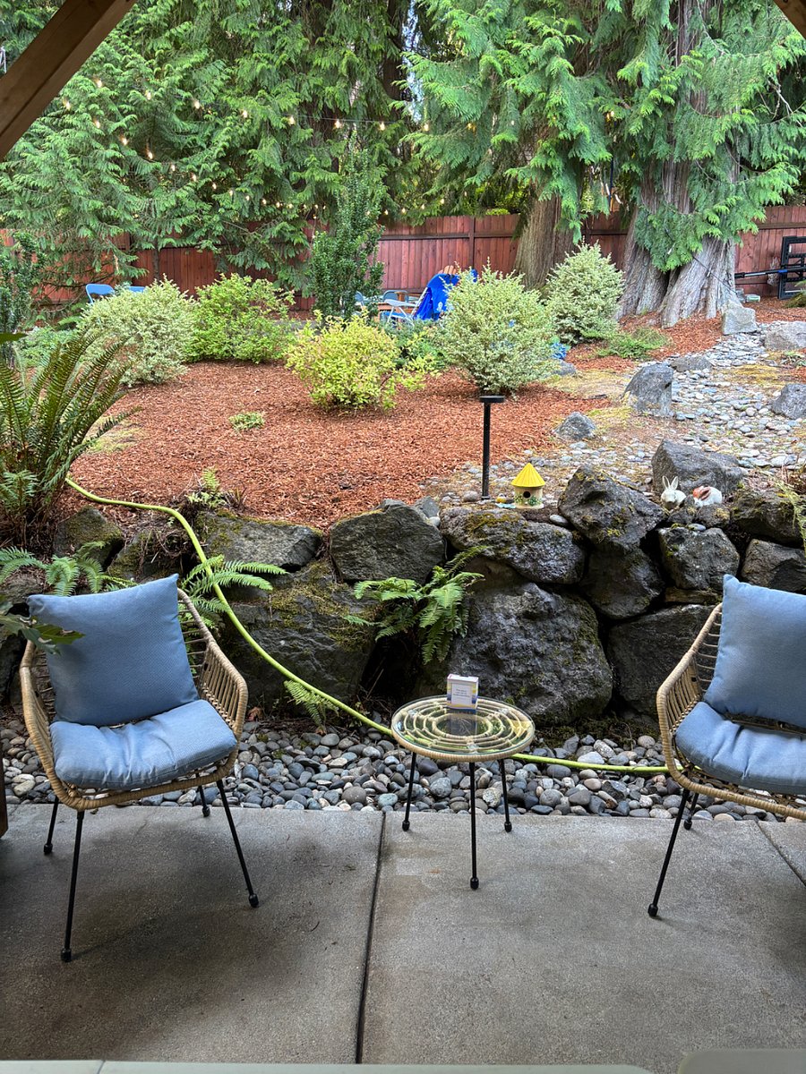 Relaxing backyard