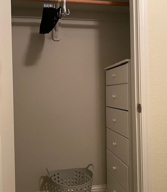 Second Bedroom Closet with Dresser