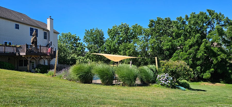 Backyard, looking toward pool