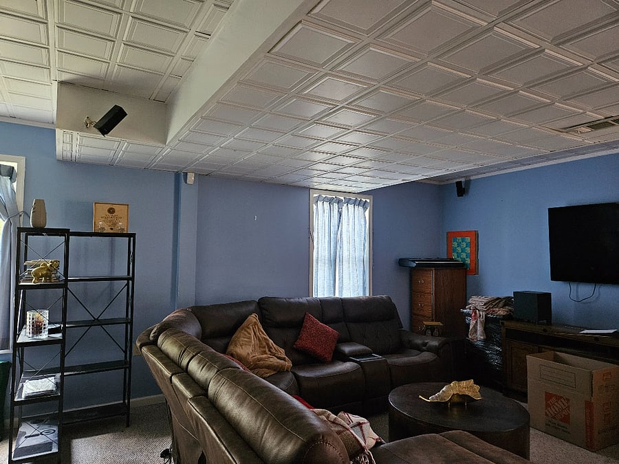 Basement living room