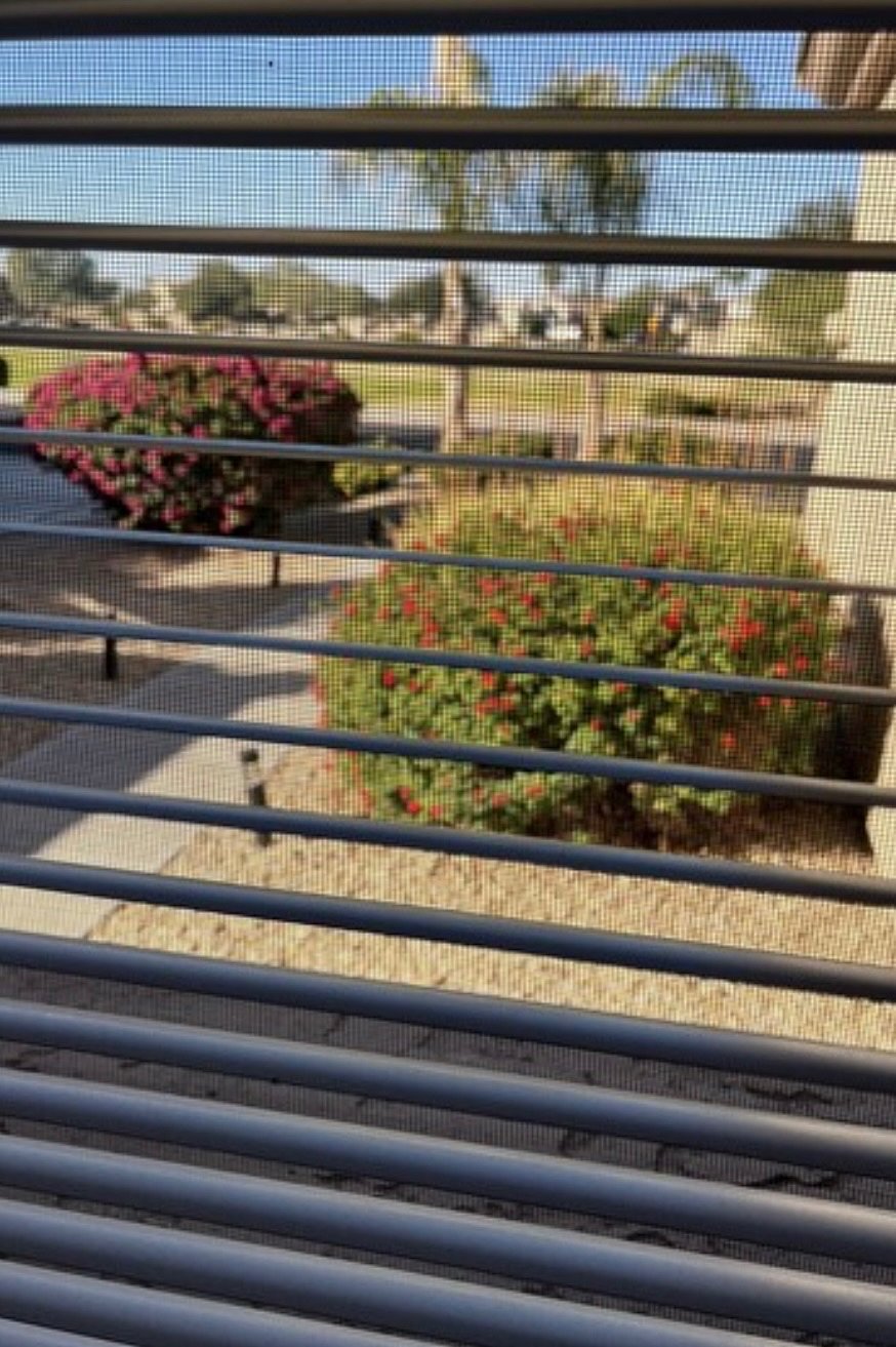 View from front guest room