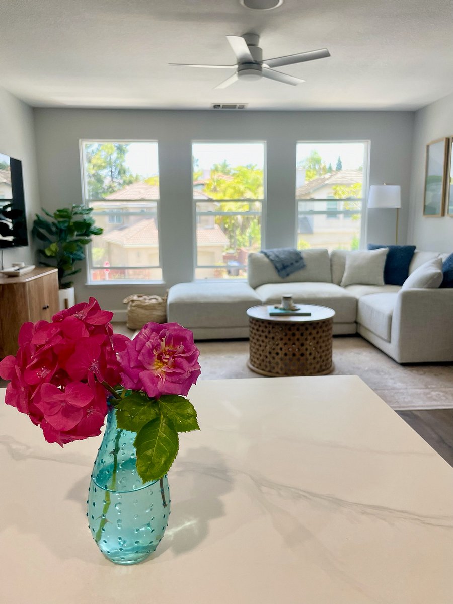 Furnished Finder property 851688_1 photo 4