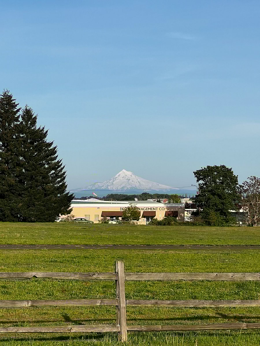 Mt Hood from Fort Vancouver