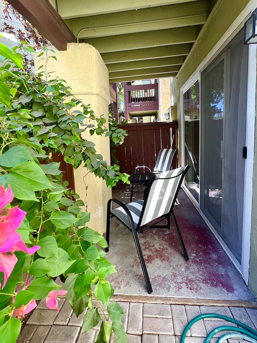 Furnished Finder property 851859_1 photo 22
