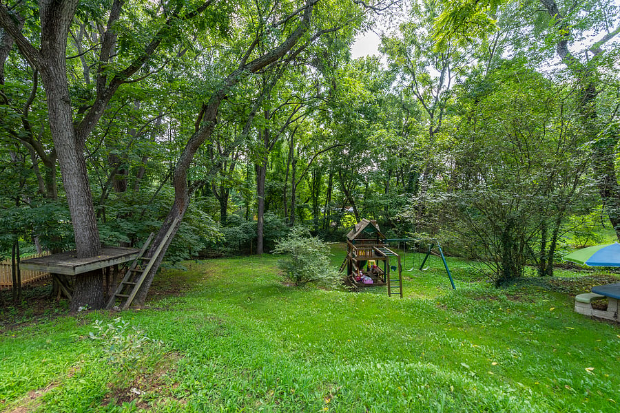 Backyard Play area