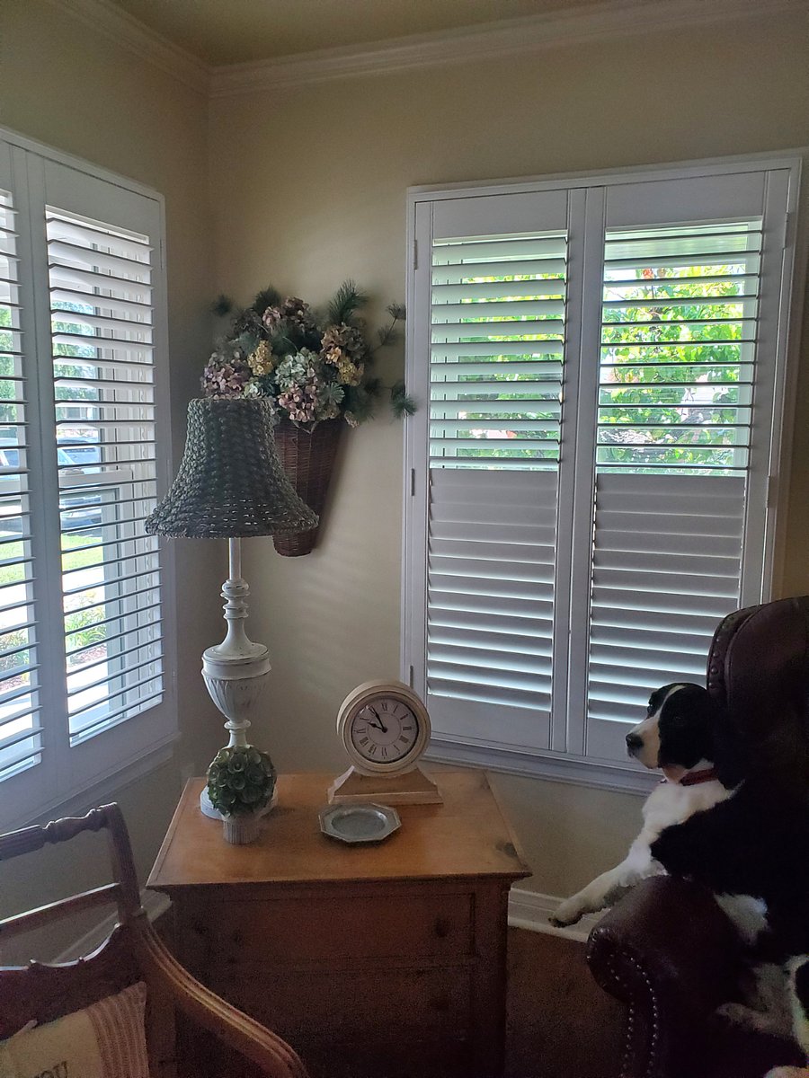 Furnished Finder property 852033_1 photo 7