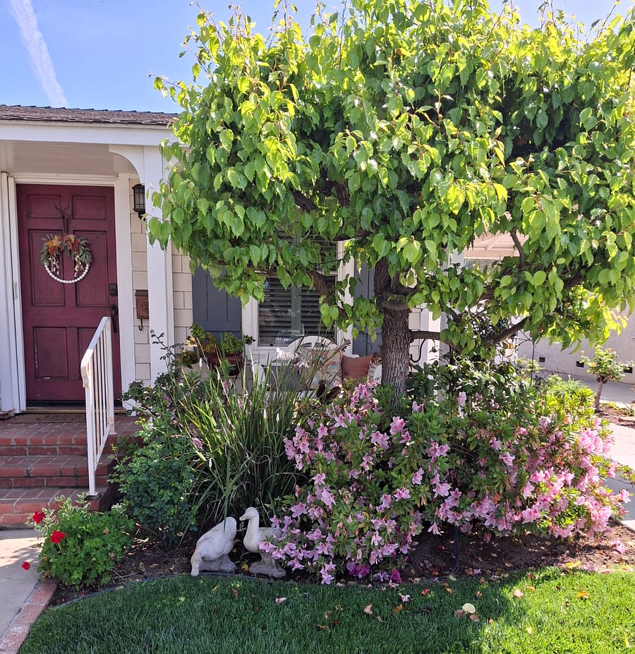 Furnished Finder property 852033_1 photo 2