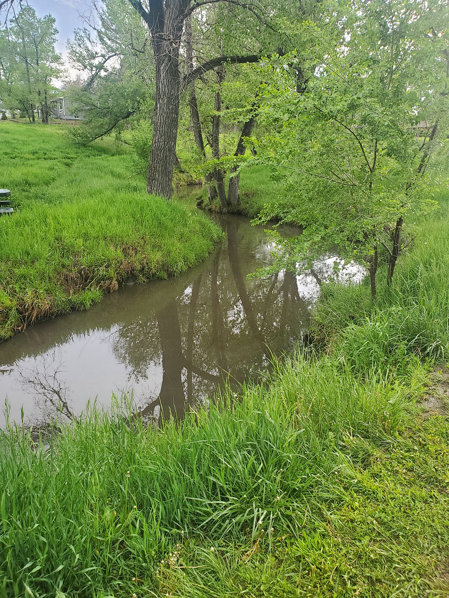 Sanderson Gulch, right next to the house.