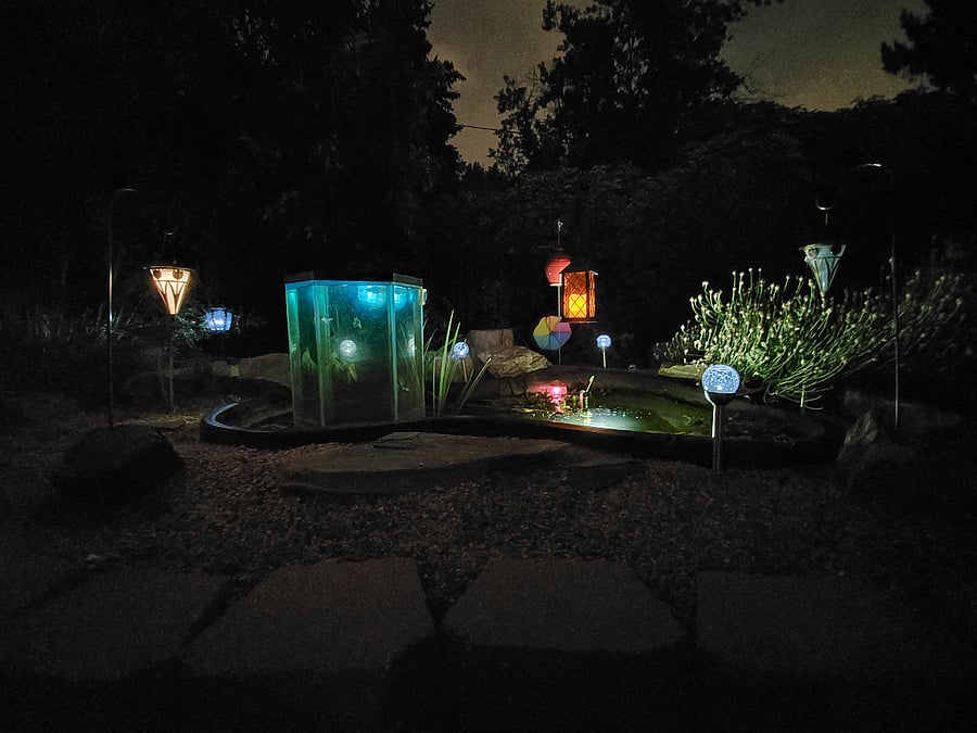 Koi pond at night, ultra chill