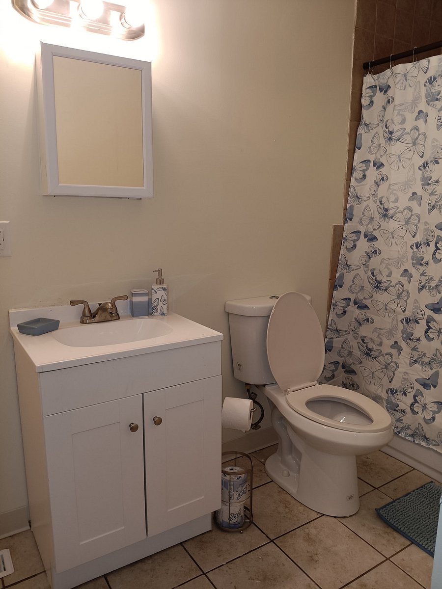 Furnished Finder property 852318_1 photo 5
