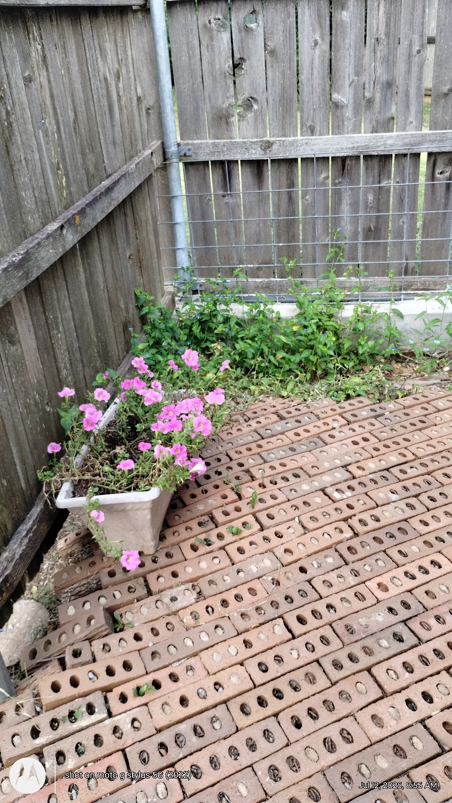 Rear patio is enclosed for privacy.