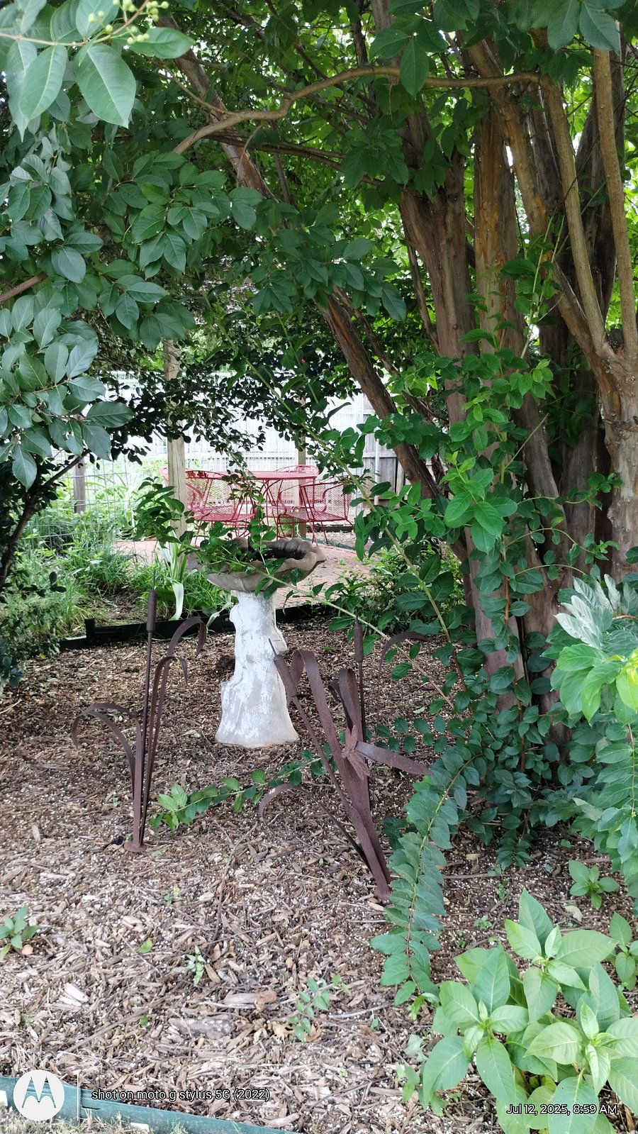 Landscaping offers privacy in the yard