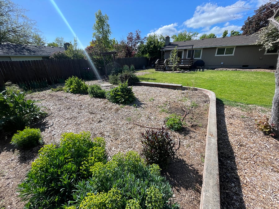 backyard including deck at propane BBQ, fruit trees and an opportunity to grow your own food.