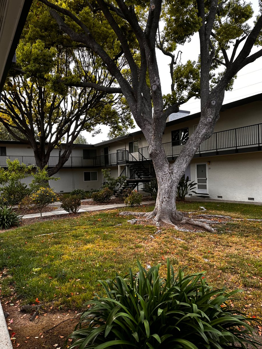 Furnished Finder property 852843_1 photo 13