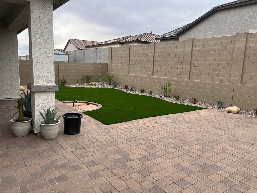 Back yard