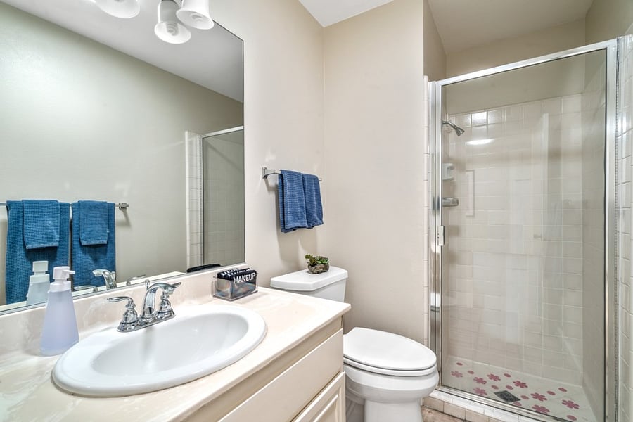 Guest bathroom