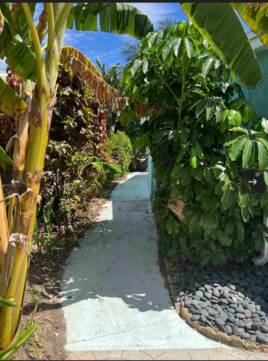 Sidewalk to the water, continued